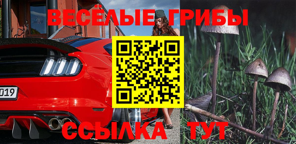 Галлюциногенные грибы MAGIC MUSHROOMS  Вход с VPN  Белая Калитва 