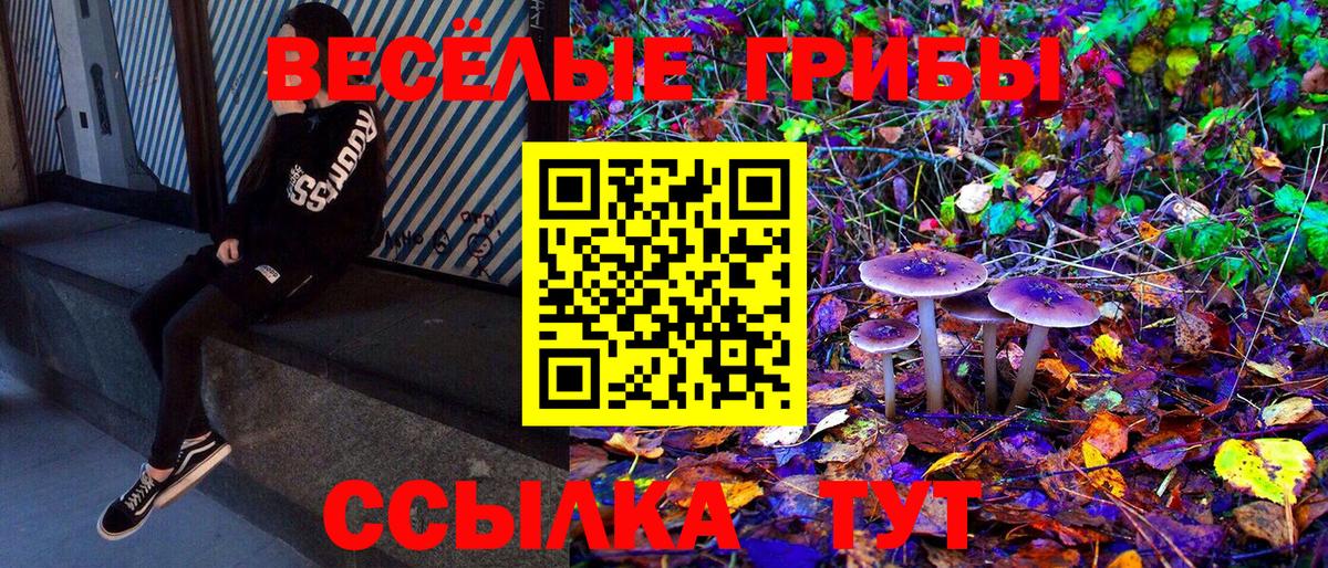 Псилоцибиновые грибы Psilocybe Белая Калитва